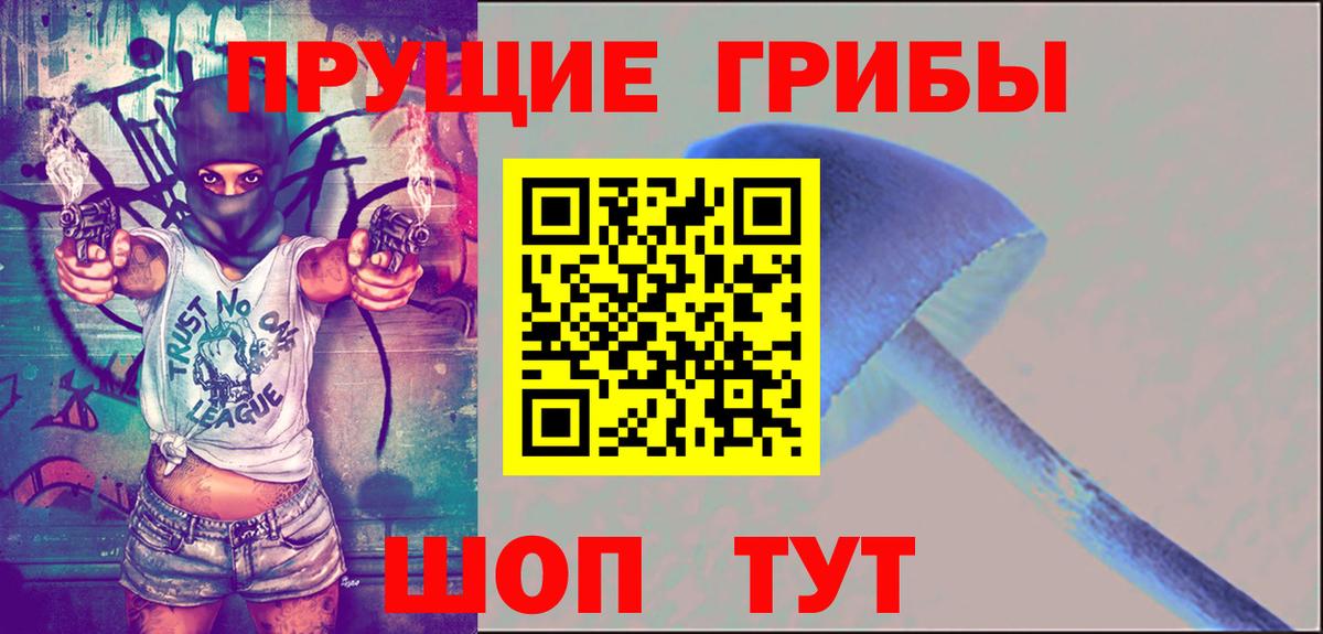 Полысаево  Галлюциногенные грибы Psilocybine cubensis  Вход с VPN 